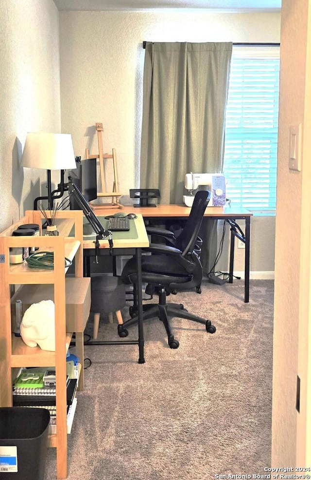 office featuring carpet