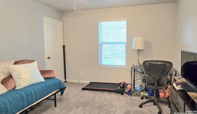 exercise room featuring light carpet