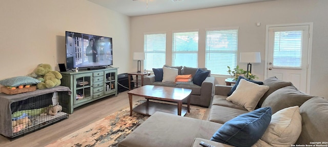 living room with ceiling fan and light wood-type flooring