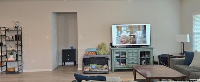 living room with light hardwood / wood-style flooring