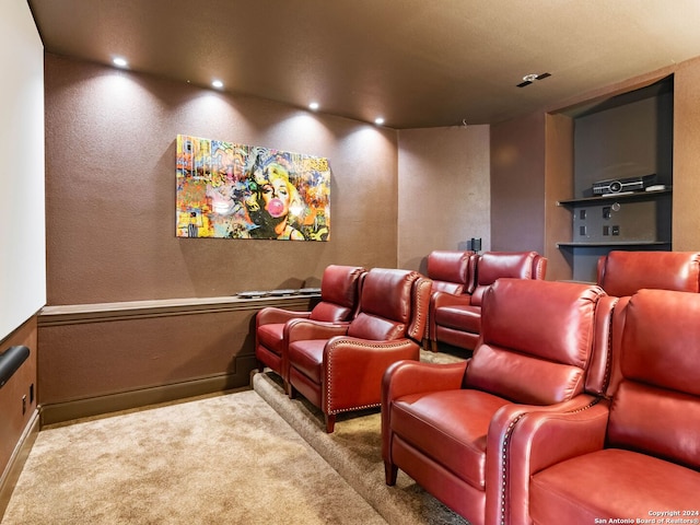 view of carpeted home theater room