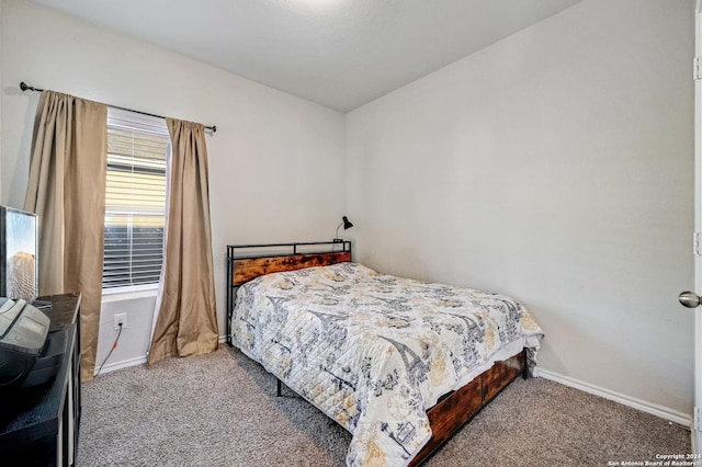 bedroom featuring carpet