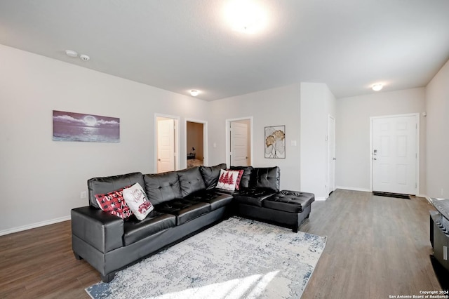 living room featuring hardwood / wood-style flooring