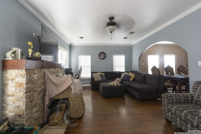 living room with ceiling fan, plenty of natural light, and crown molding