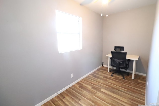 office featuring wood-type flooring