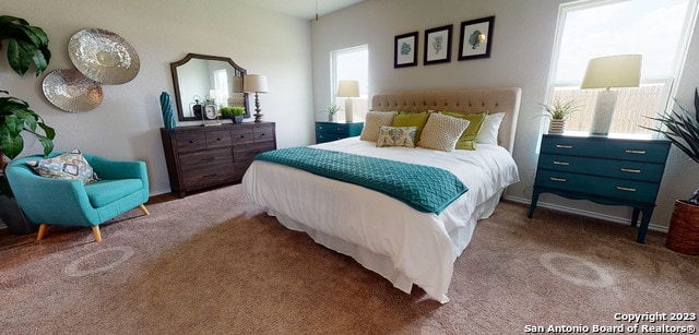 bedroom with multiple windows and carpet