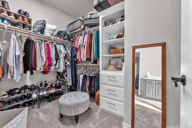 spacious closet featuring carpet