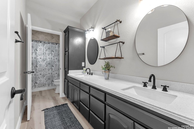 bathroom with wood-type flooring, vanity, toilet, and curtained shower