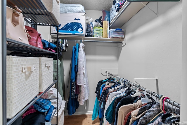 spacious closet featuring wood-type flooring