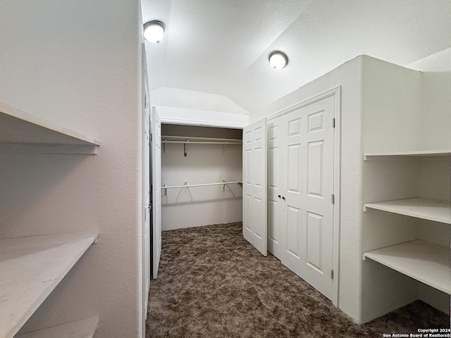 walk in closet with vaulted ceiling and dark colored carpet