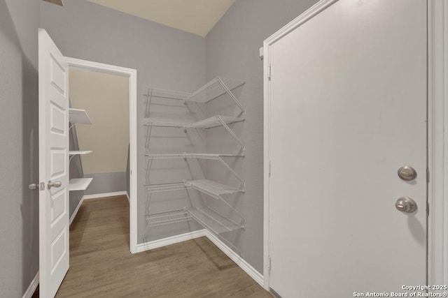 walk in closet with wood finished floors