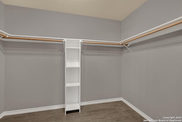 walk in closet with dark wood-type flooring