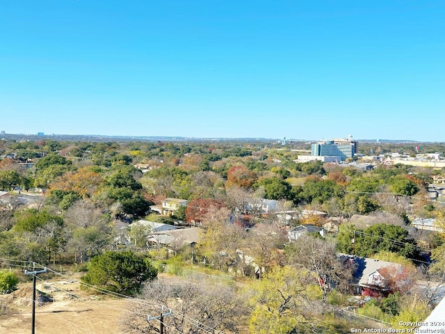 bird's eye view