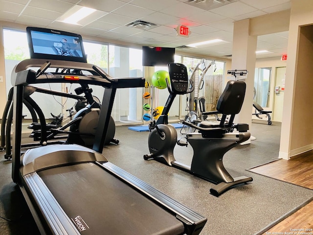 workout area featuring hardwood / wood-style flooring and a drop ceiling