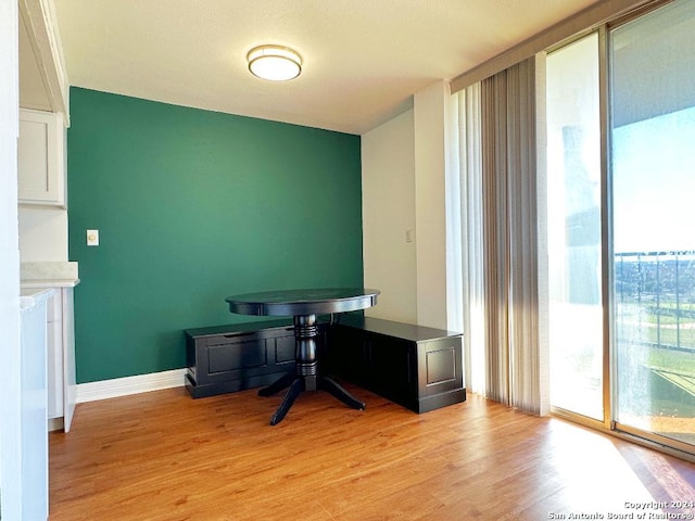 office area featuring light hardwood / wood-style flooring