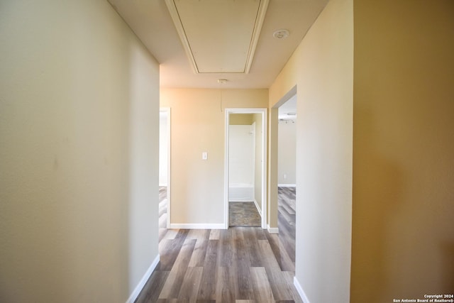 corridor featuring light hardwood / wood-style flooring