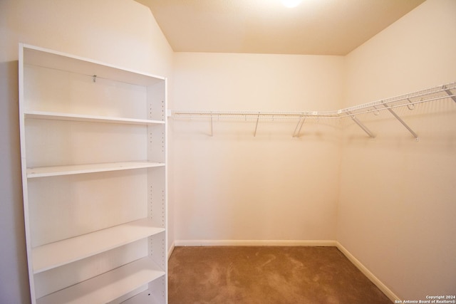 walk in closet featuring carpet