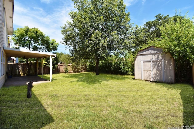 view of yard featuring a patio area and a shed