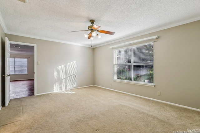 spare room with carpet, ceiling fan, and crown molding