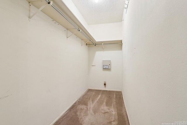 clothes washing area featuring carpet floors and a textured ceiling