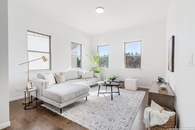 living room featuring dark hardwood / wood-style floors