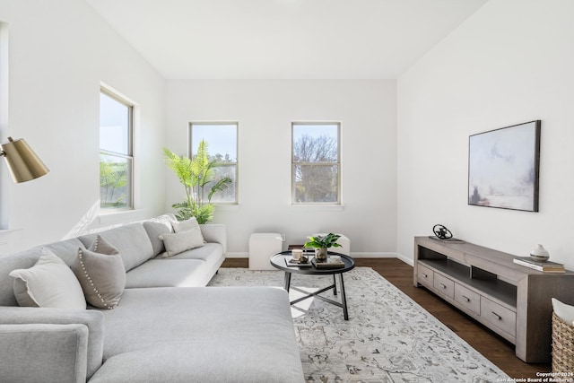 living room with dark hardwood / wood-style floors