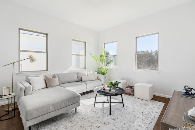 living room featuring hardwood / wood-style floors