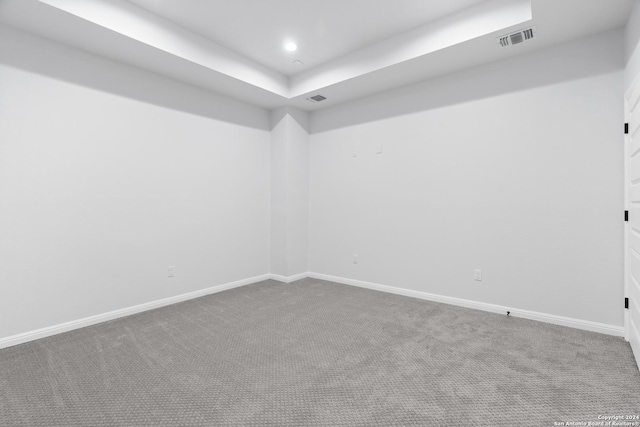 carpeted empty room featuring a raised ceiling