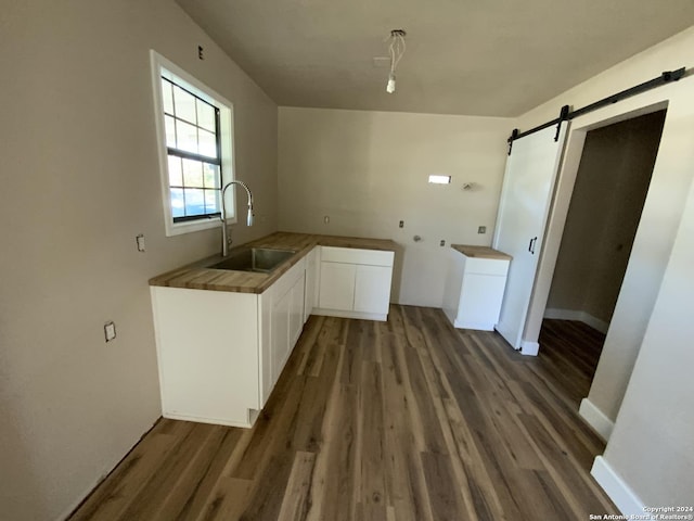 laundry room featuring a barn door, dark hardwood / wood-style flooring, and sink