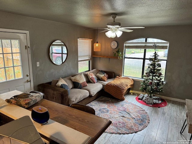 living room with hardwood / wood-style floors, ceiling fan, and a textured ceiling