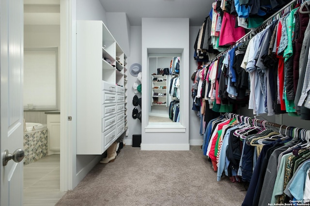 spacious closet with light colored carpet