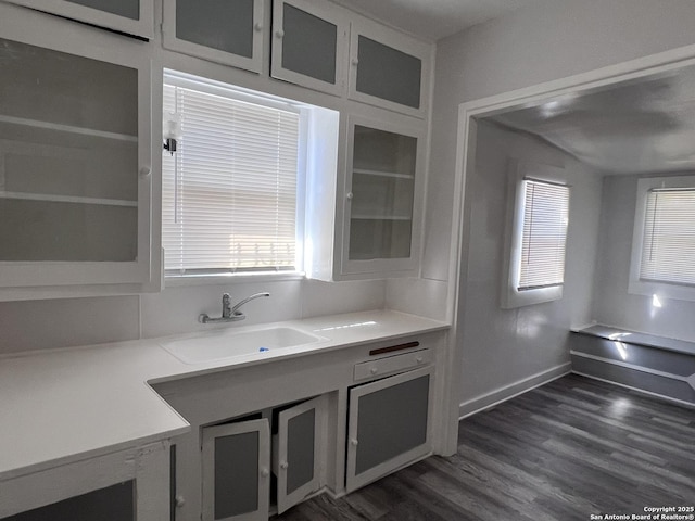 kitchen featuring sink, dark wood-type flooring, and a healthy amount of sunlight