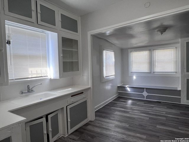 kitchen with sink and dark wood-type flooring