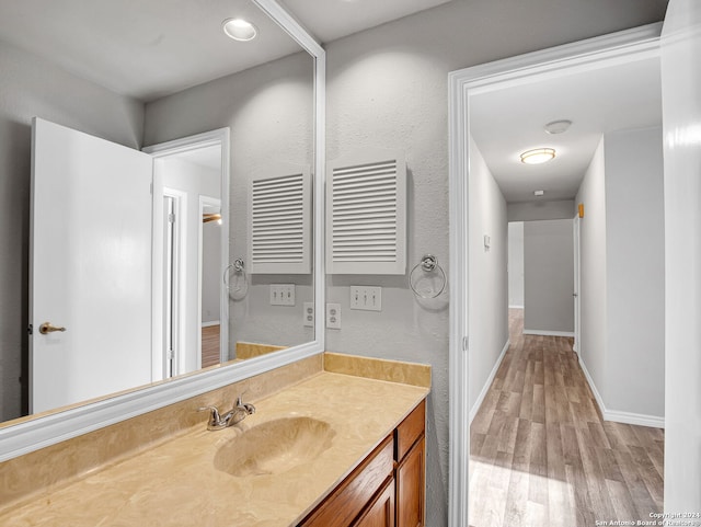 bathroom featuring wood-type flooring and vanity