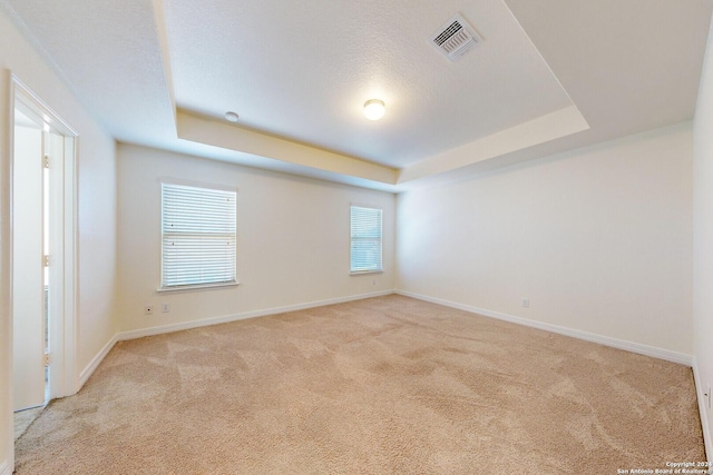 unfurnished room featuring a raised ceiling, light carpet, and a textured ceiling