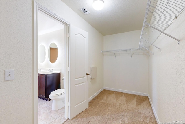 spacious closet featuring light colored carpet and sink