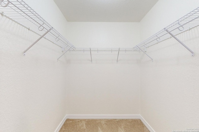 spacious closet with carpet