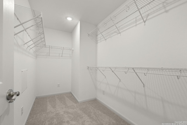 spacious closet featuring light colored carpet