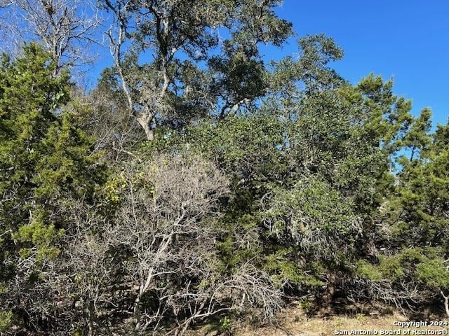 Listing photo 3 for LOT155 River Vw, Boerne TX 78006