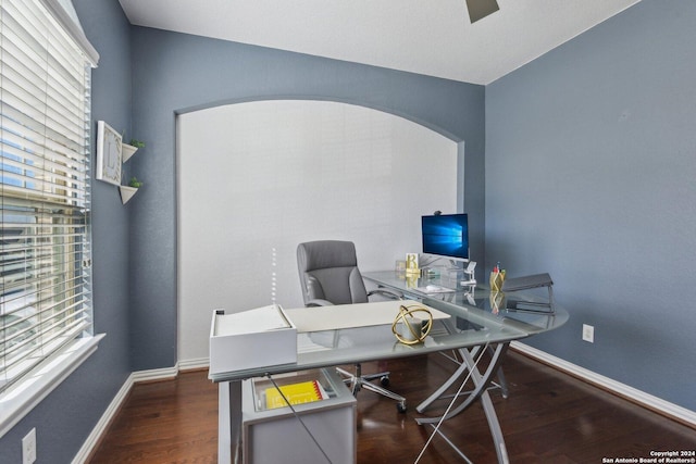 office with a healthy amount of sunlight and dark wood-type flooring