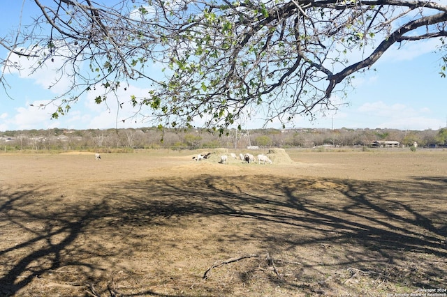 view of yard featuring a rural view