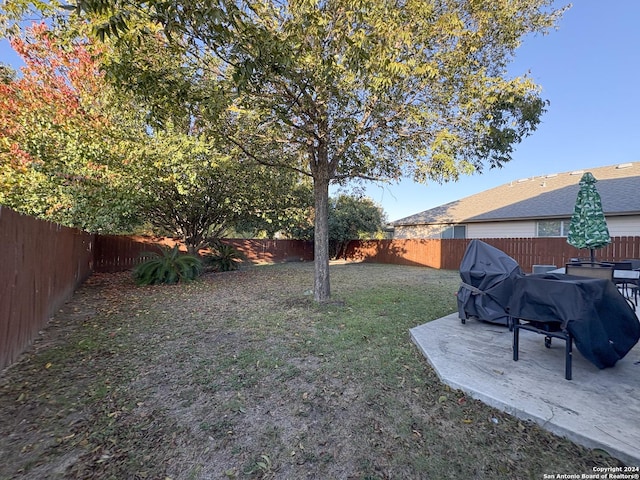 view of yard featuring a patio