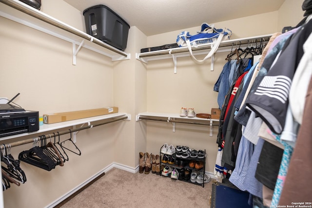 walk in closet with carpet floors