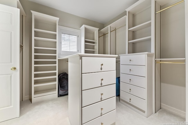 spacious closet with light carpet