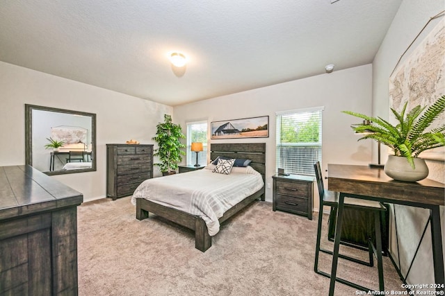 bedroom with a textured ceiling and light carpet