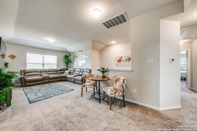 carpeted living room with lofted ceiling and a textured ceiling