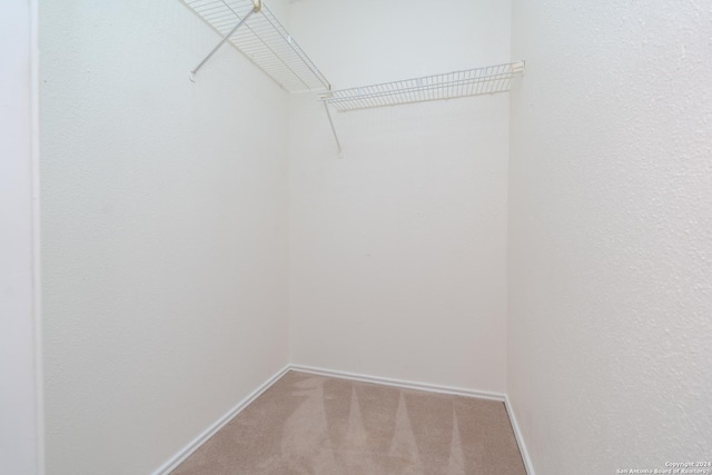 walk in closet featuring carpet flooring