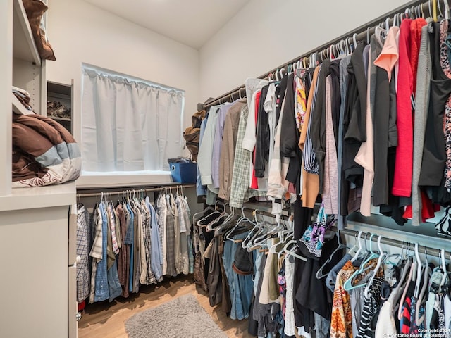 walk in closet featuring hardwood / wood-style flooring