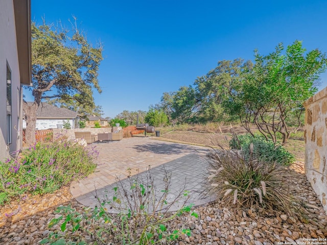 view of yard featuring a patio