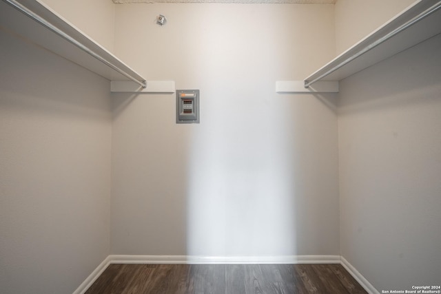 walk in closet with dark wood-type flooring